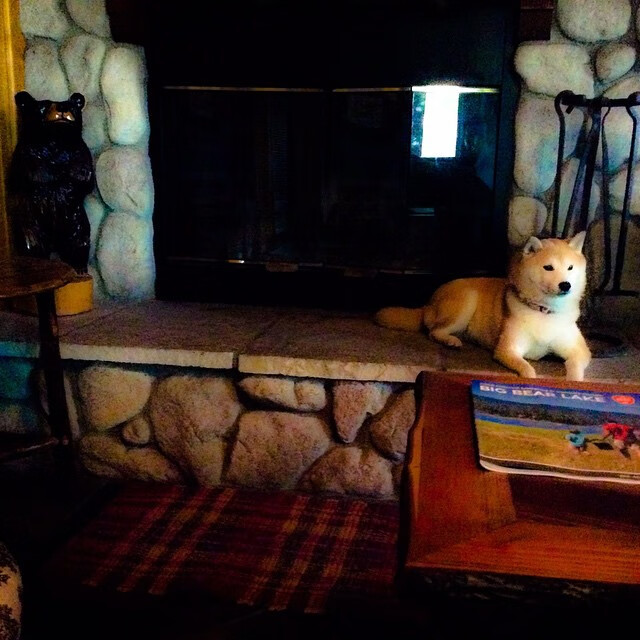 盾与矛，广厦锁死雄鹿，乔治欧冠半决赛接管战场