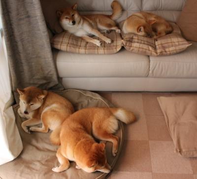 奥利维耶穿云箭撕碎三狮防线，当足球美学撞碎战术铁壁