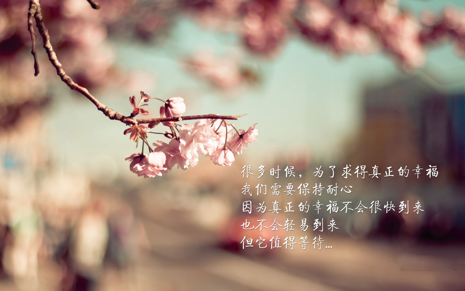 非洲羚羊撞碎牙买加闪电，2026世界杯安哥拉爆冷掀翻北美豪强