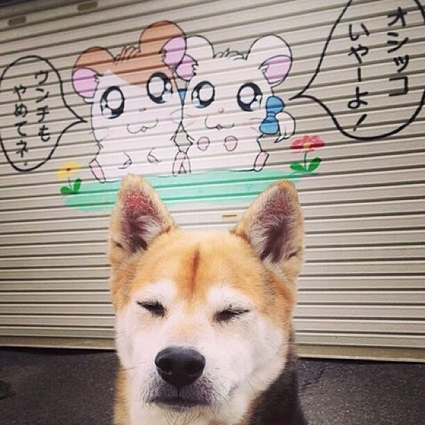 东方征服记，迪巴拉关键先生助曼联踏平中国