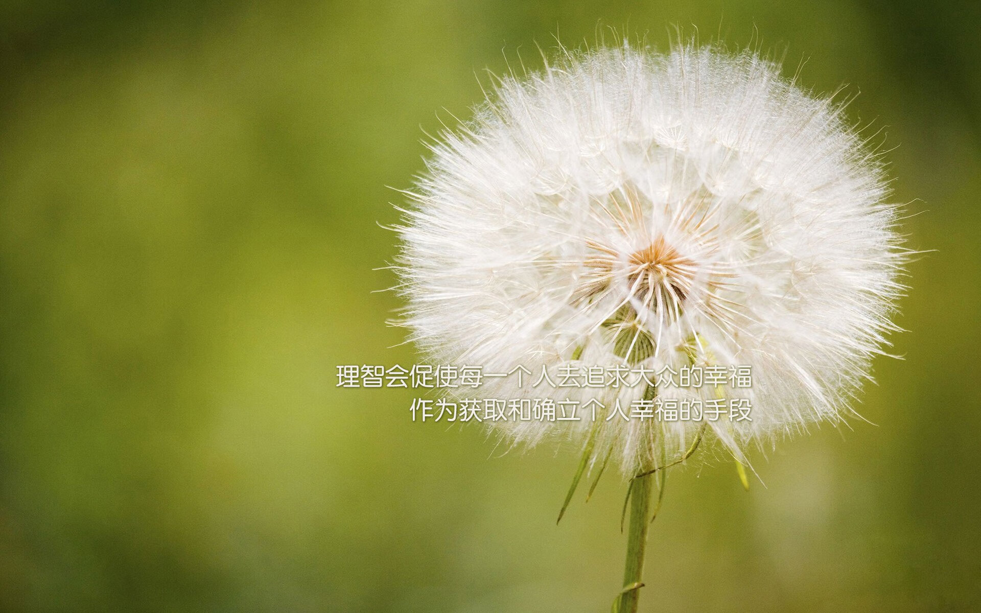 布克节奏魔法，勇士如何用变速钥匙破解黄蜂紧逼