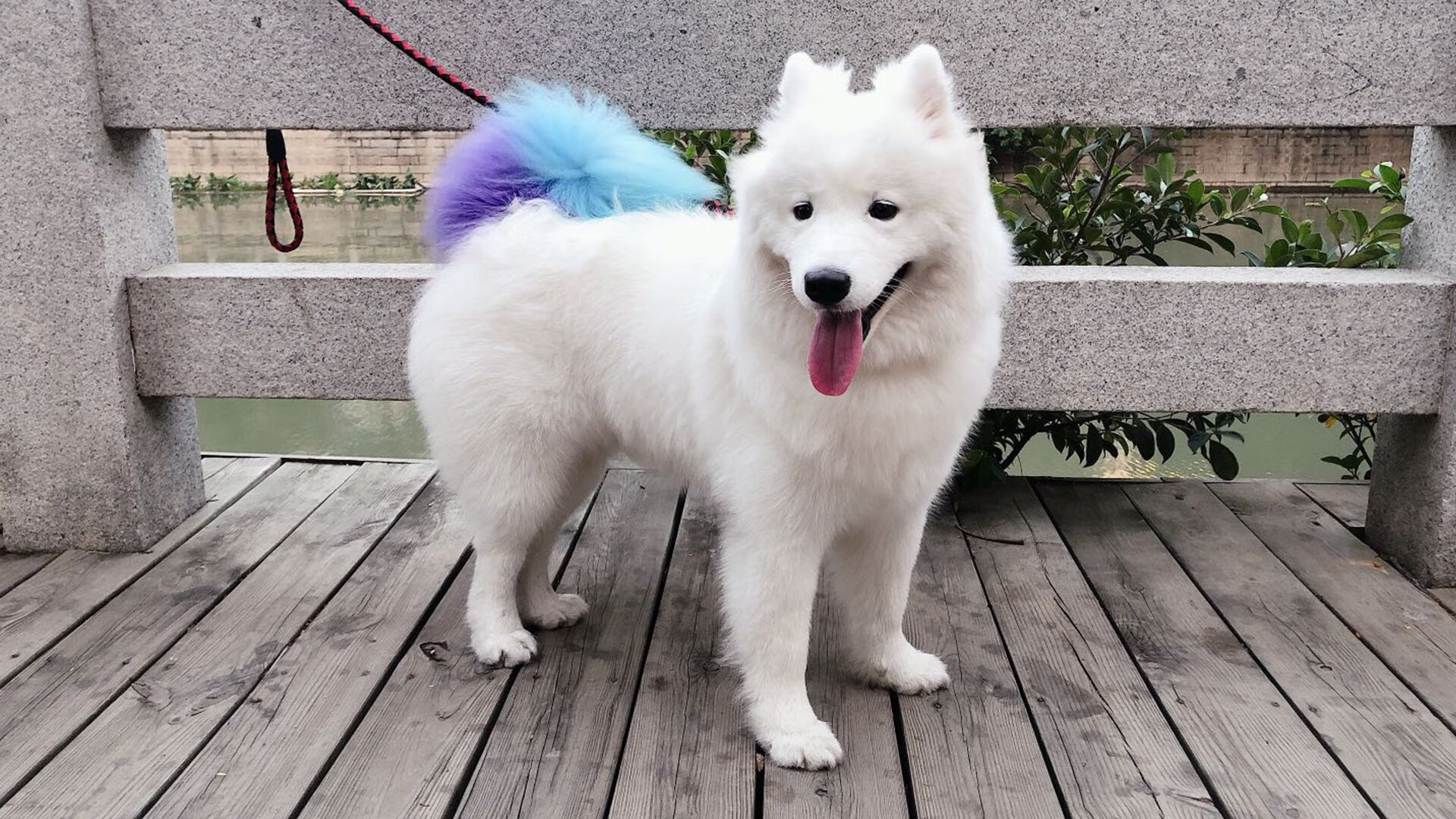 跨界之战，西亚卡姆闪耀全场，勇士火力压制广东显统治力