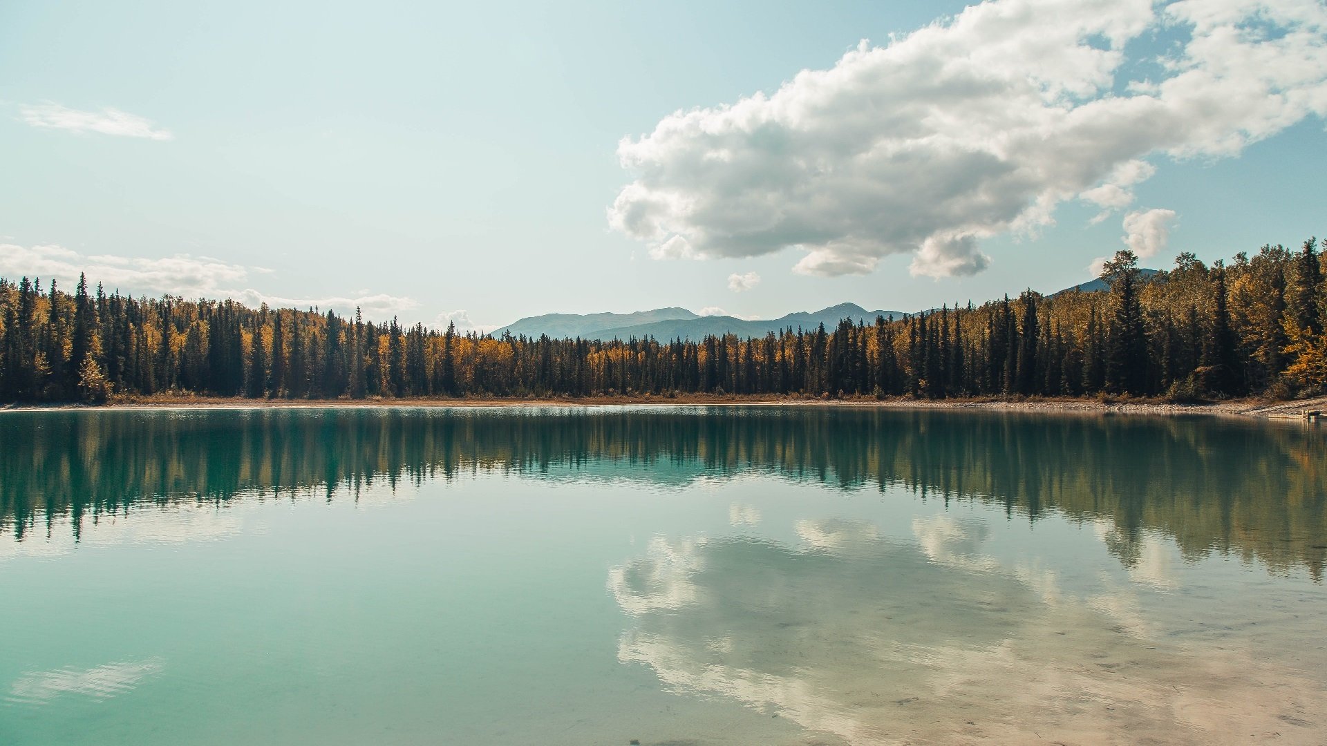 全球篮球的胜利，从上海滩到德甲之巅的争冠启示录