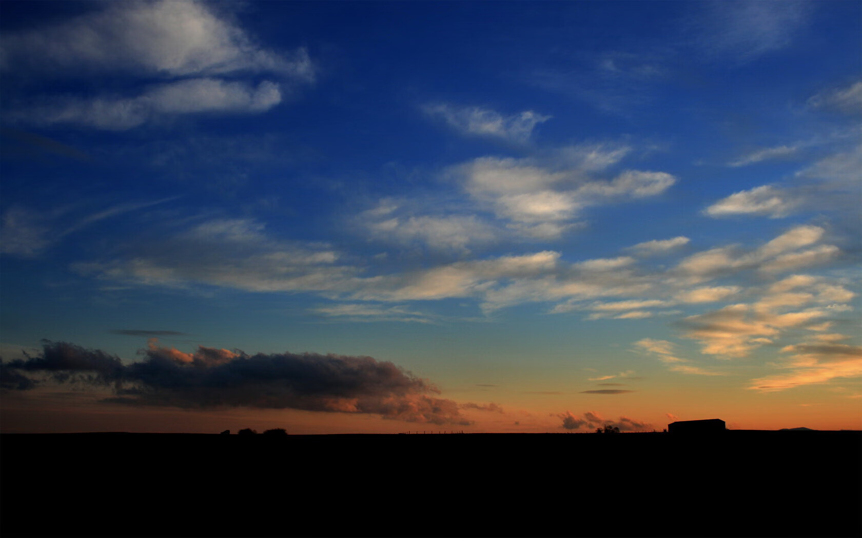 全球篮球的胜利，从上海滩到德甲之巅的争冠启示录