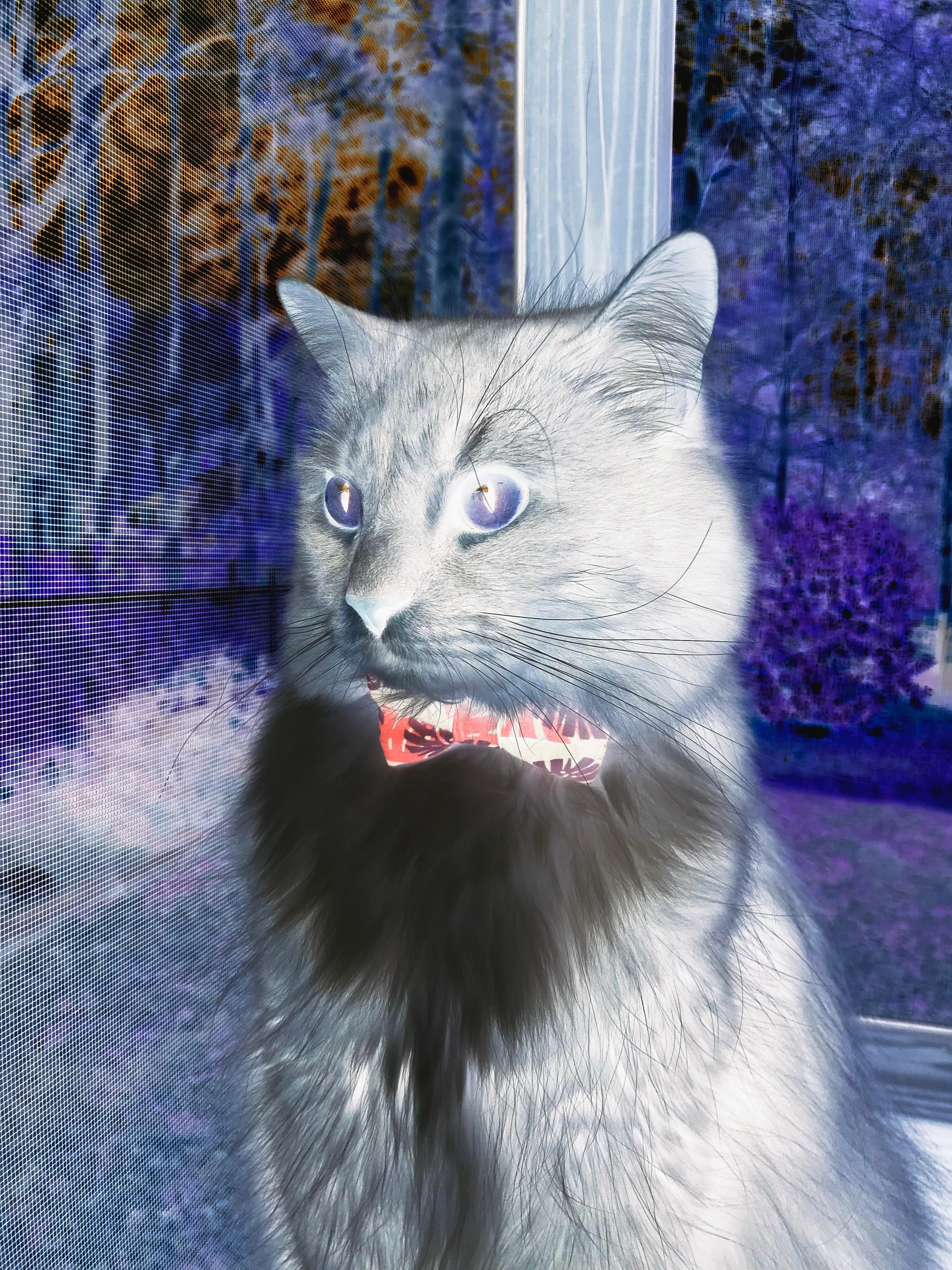 压力之下见真章，皮克爆发引领胜利，里昂防守铸就铜墙铁壁