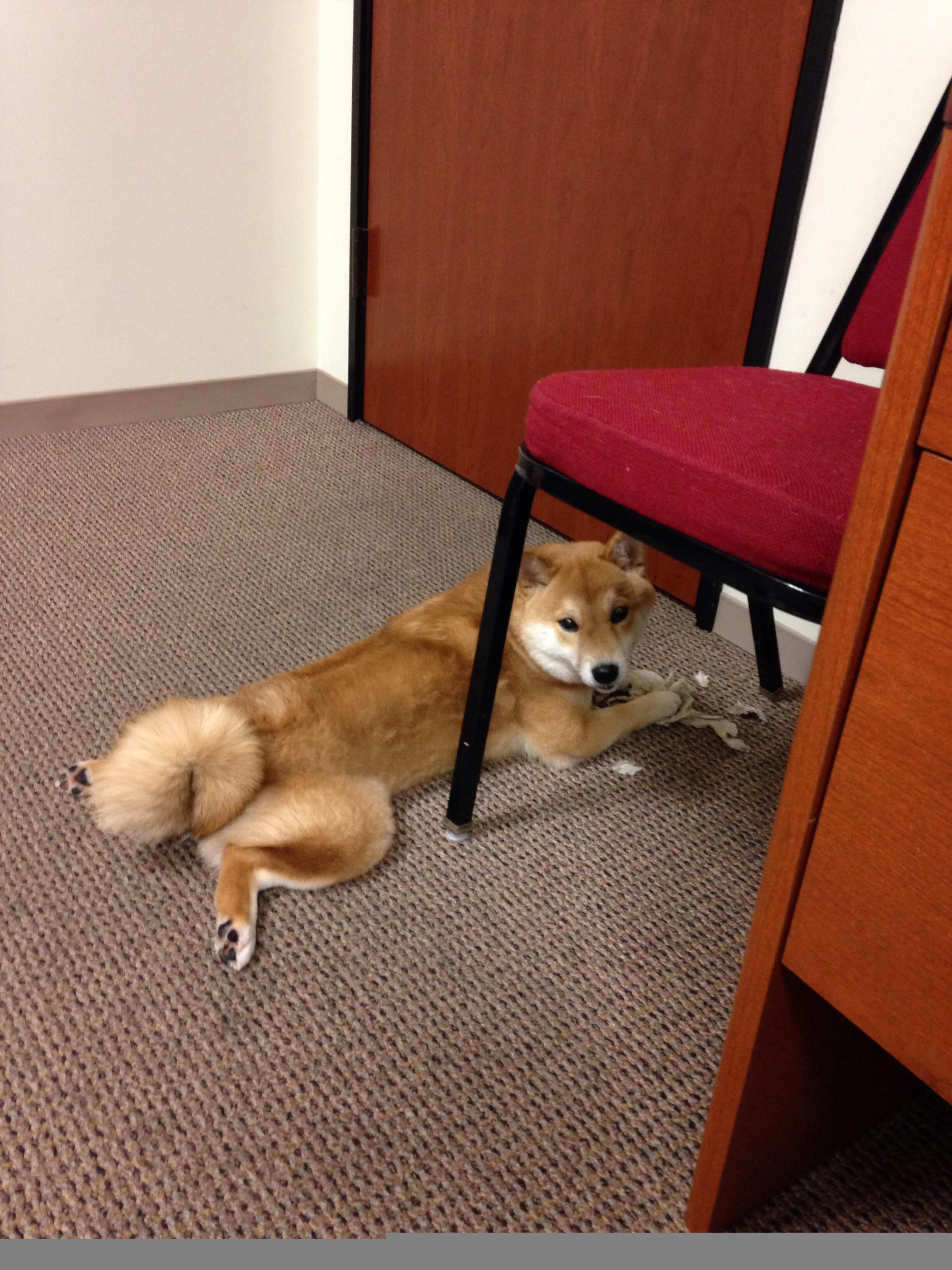 马里逆袭塞维利亚，厄德高关键回合不手软，谱写绿茵冷门史诗