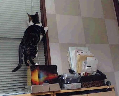 伊拉克火力压制利物浦，基耶萨替补登场成关键先生