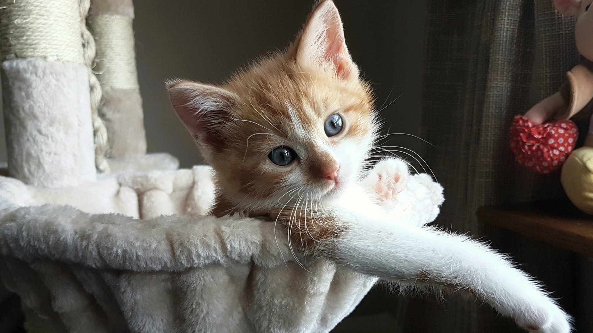 斗牛士之舞，美加墨世界杯西智巅峰对决，西班牙加时胜出