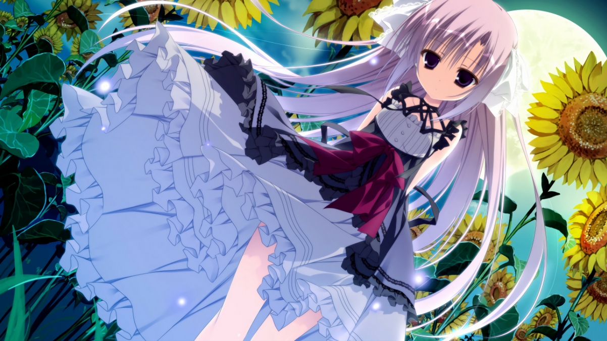 NBA总决赛焦点战，开拓者力克灰熊，问鼎总冠军荣耀