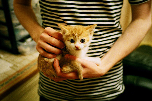 铁血之夜，坎特与他的硬仗王冠