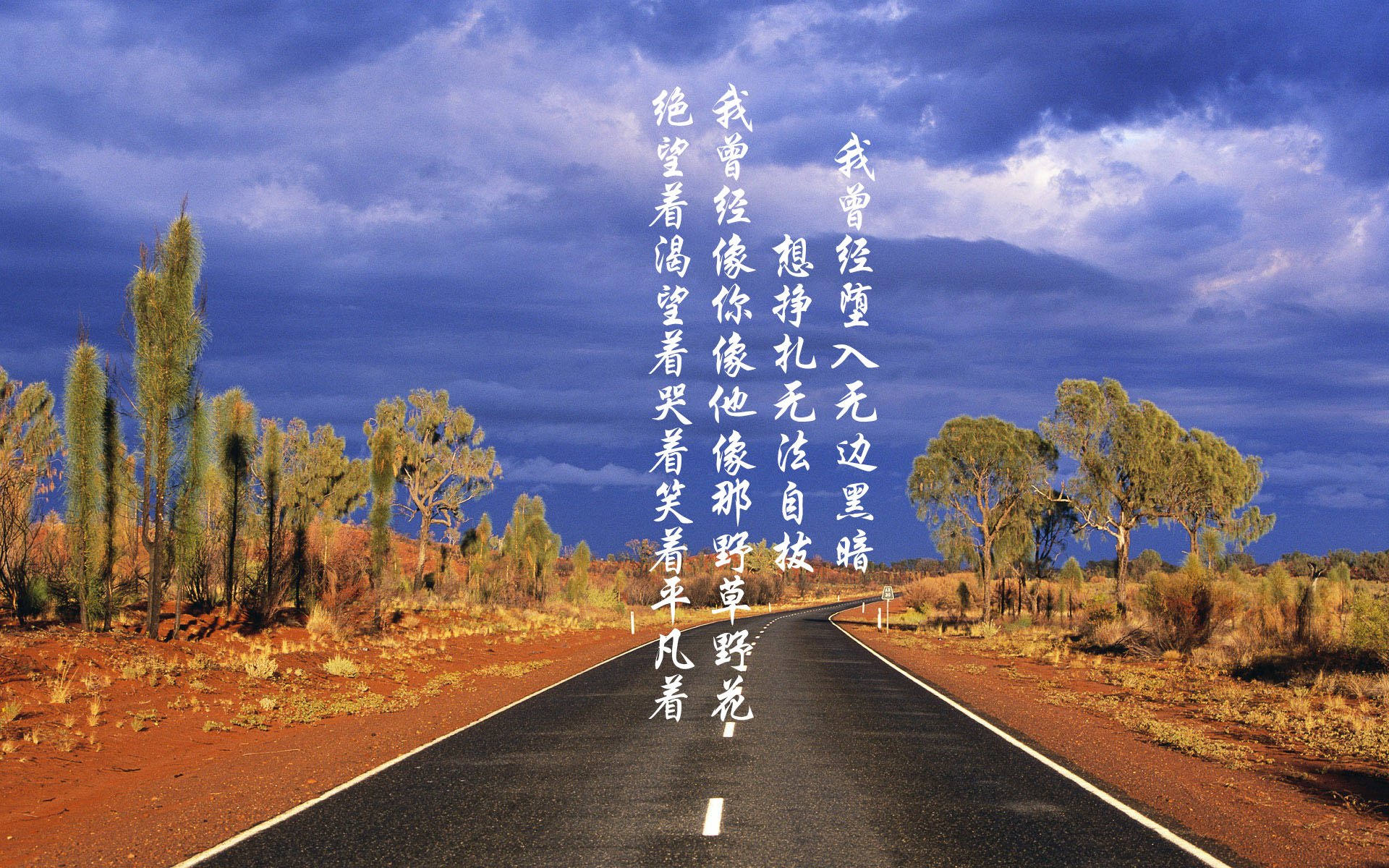 突尼斯对阵伊朗，一场在哈兰德时代阴影下的战术防御实践