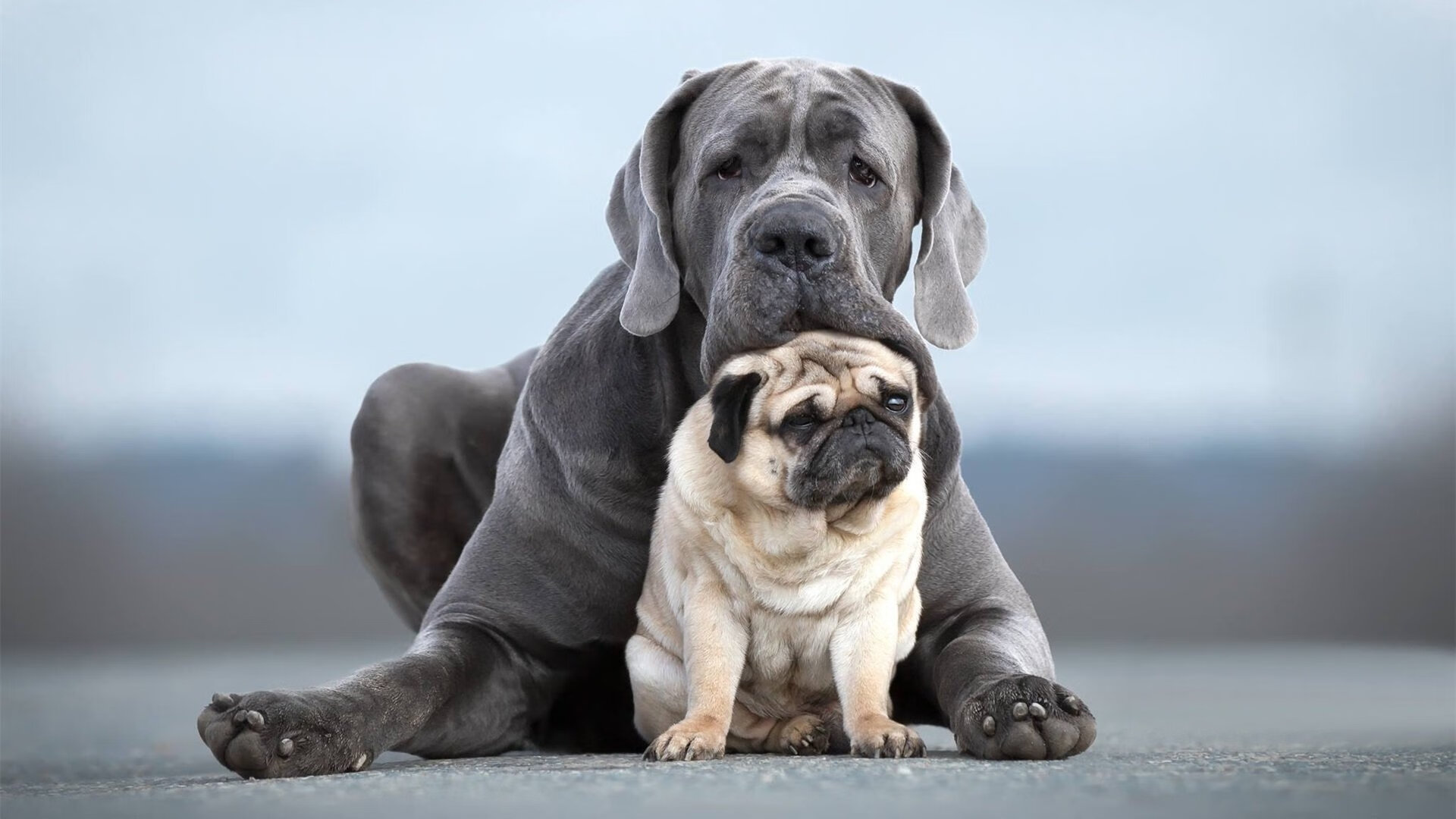 萨拉赫，一己之力，提前终结悬念