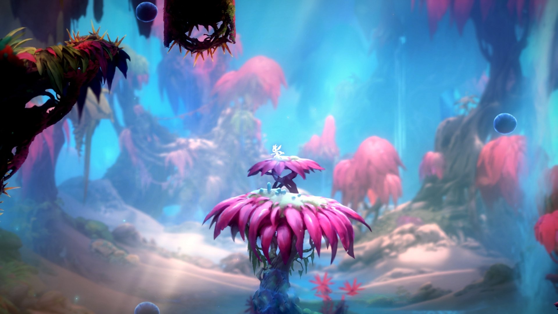 末节狂飙！猛龙上演逆转好戏，克莱化身关键先生一剑封喉