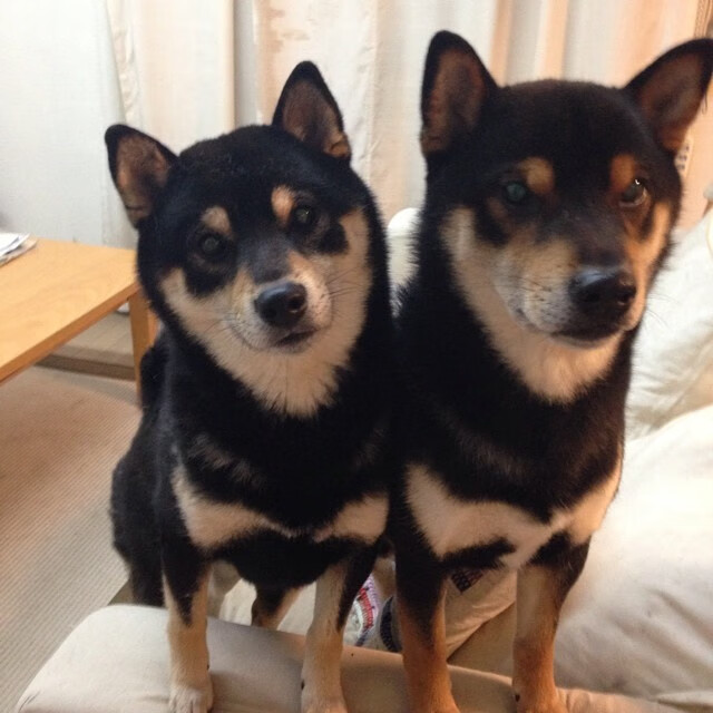 字母哥的里程碑，当希腊神话在世界杯之夜化为文明火炬