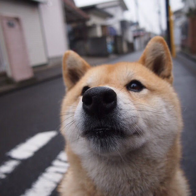 黄金救赎，金玟哉从罪人到英雄的救赎之路
