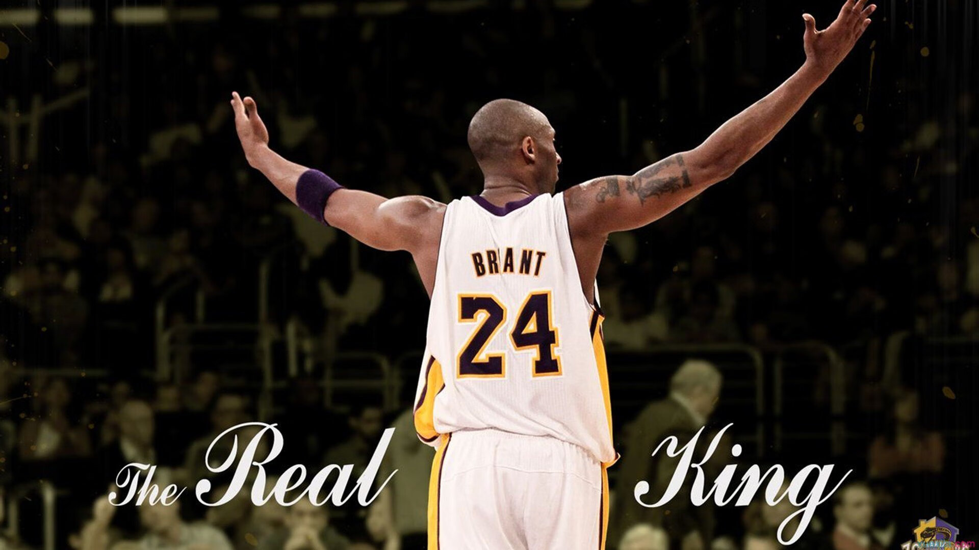 手术刀与橄榄枝，约基奇在抢七夜的无声征服