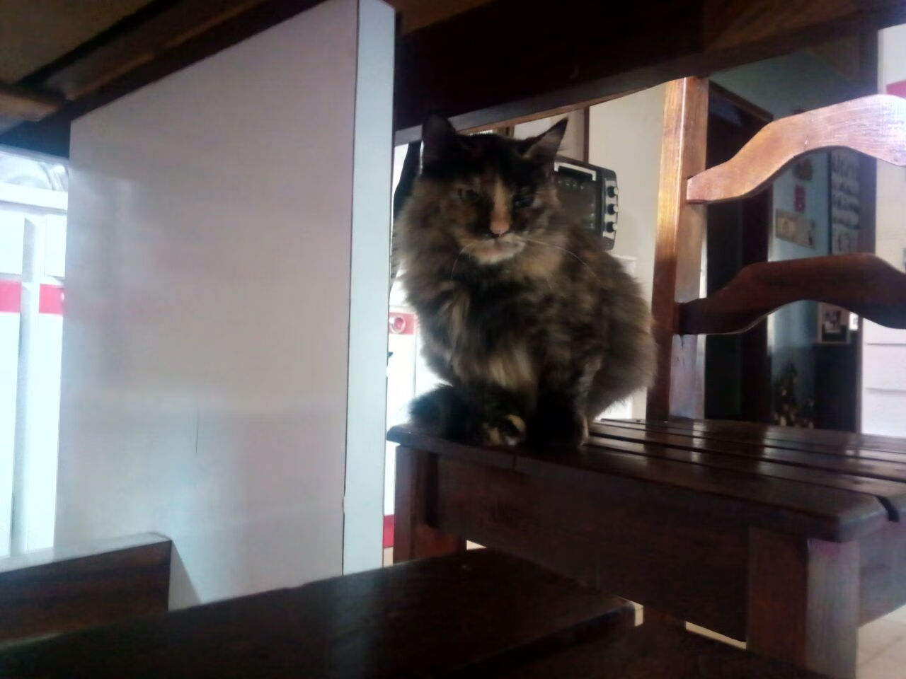 骑士险胜魔术，福克斯在世界排名争夺战接管比赛