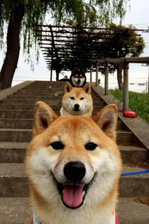 利拉德关键球精神附体，山西队末节一波流带走深圳队