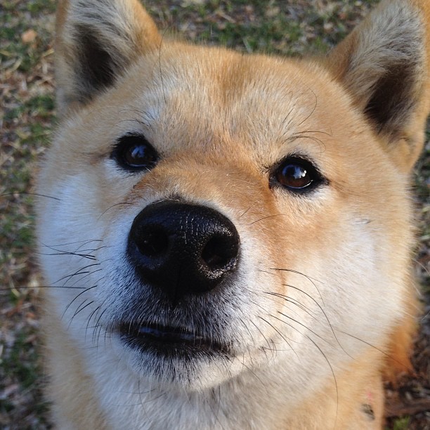 情歌球场的阿根廷惊雷,阿圭罗拯救黄色潜水艇生死战