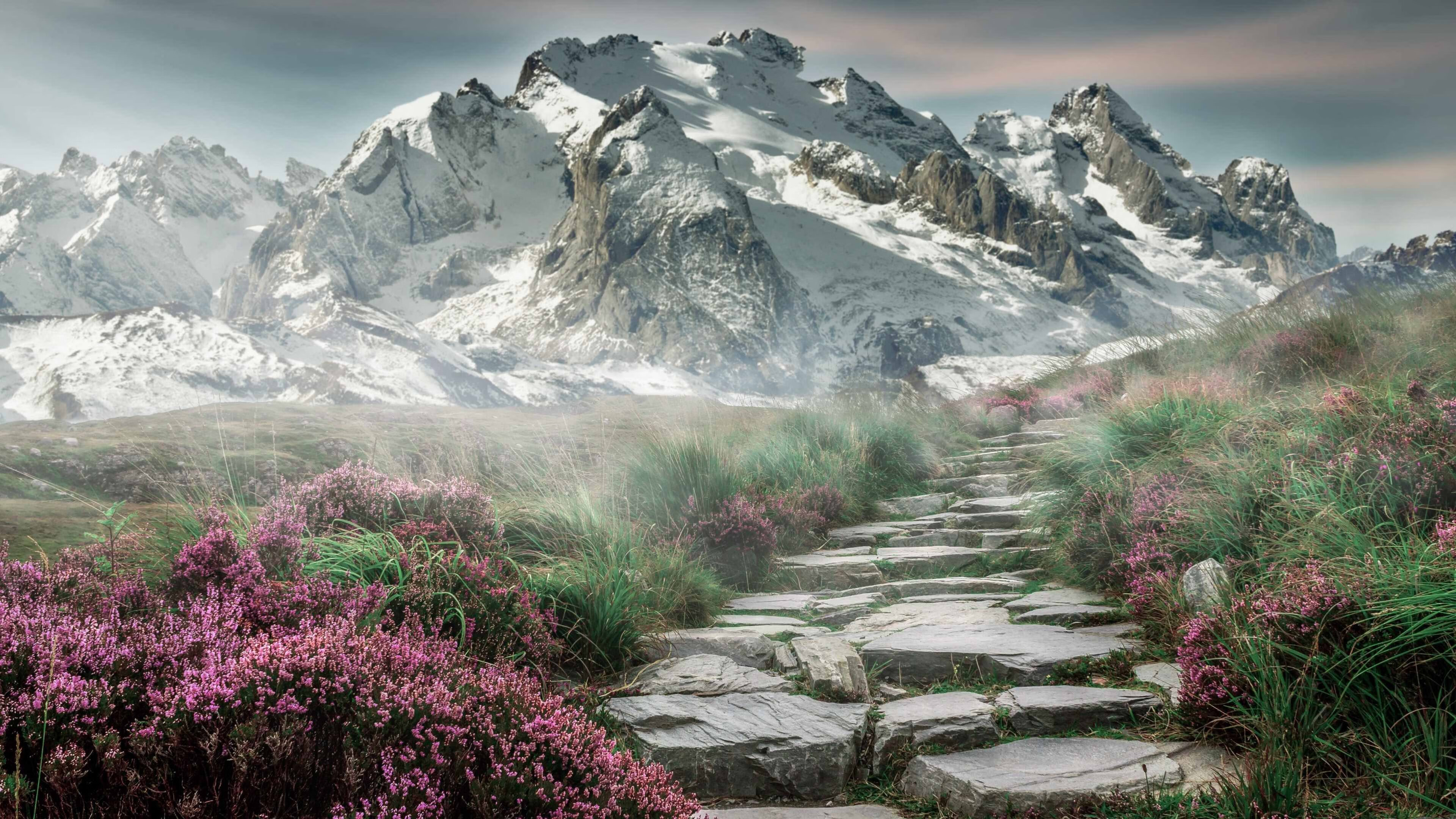 强压风暴眼,尼斯窒息式逼抢与哈弗茨的致命寒光