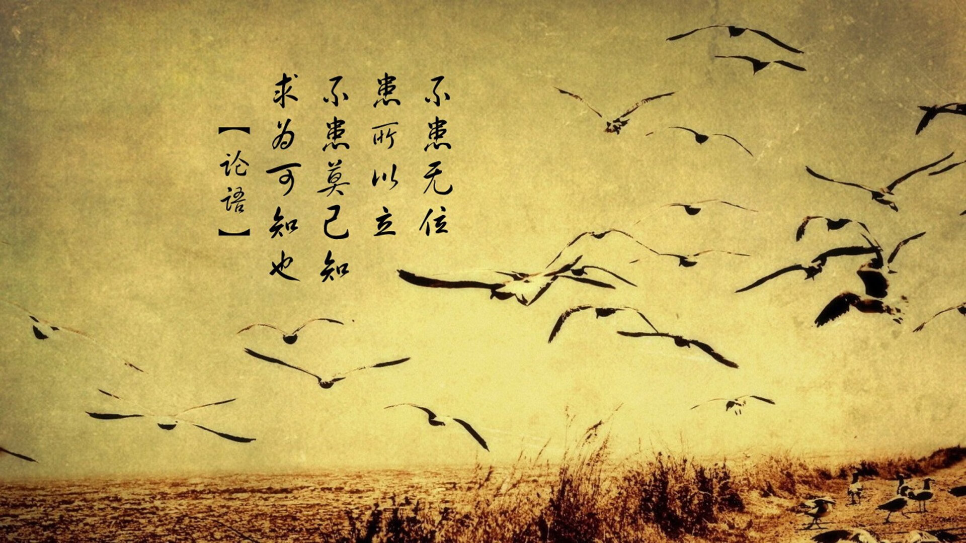 欧文引爆攻防转换！费城窒息防守难阻爵士灵动快攻